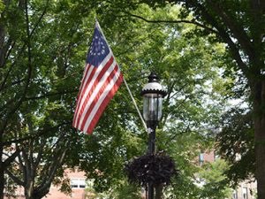 Light post with flag